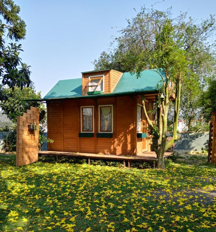 Mini House Park Hotell Campo Alegre  Exteriör bild